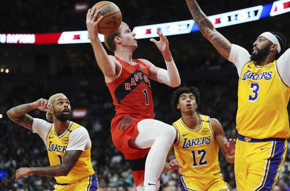 扶持力度的 扶持力度的